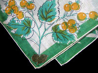 May Flower of the Month Hawthorn Vintage Handkerchief, Kimball