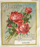 c1930 New Old Stock Pair of Vintage American Beauty Pillowcases